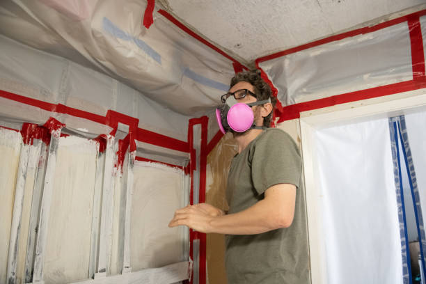 Mold Documentation for Insurance Claims in White City, FL